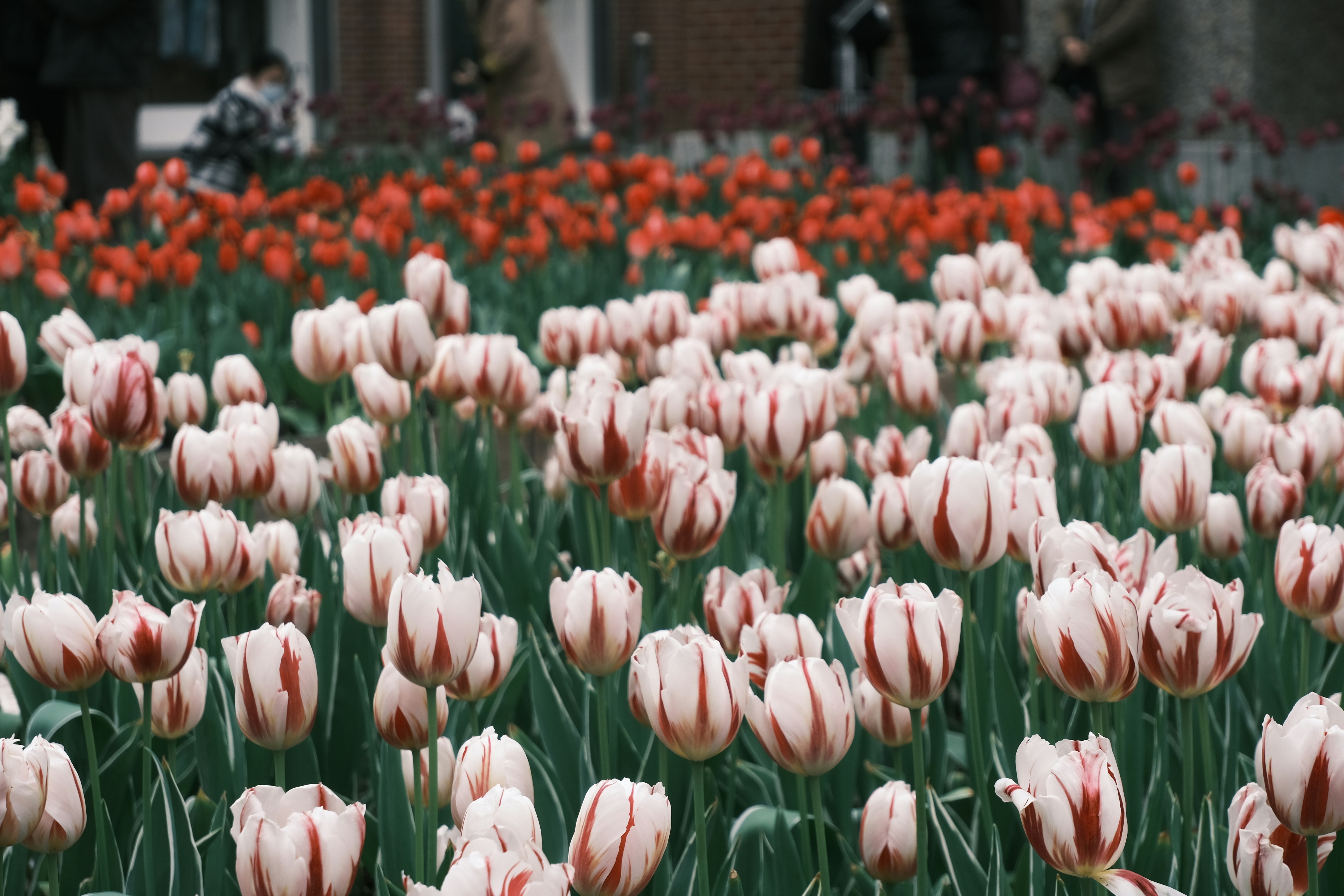 Podarite darilo, ki ga ne bodo nikoli pozabili